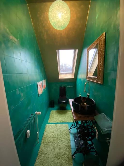 Ferienwohnung In Historischer Villa Mit Gartennutzung Furth im Wald Exteriör bild