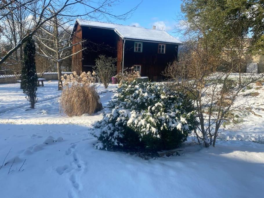 Ferienwohnung In Historischer Villa Mit Gartennutzung Furth im Wald Exteriör bild