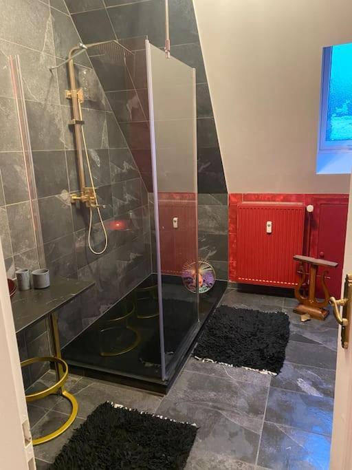 Ferienwohnung In Historischer Villa Mit Gartennutzung Furth im Wald Exteriör bild